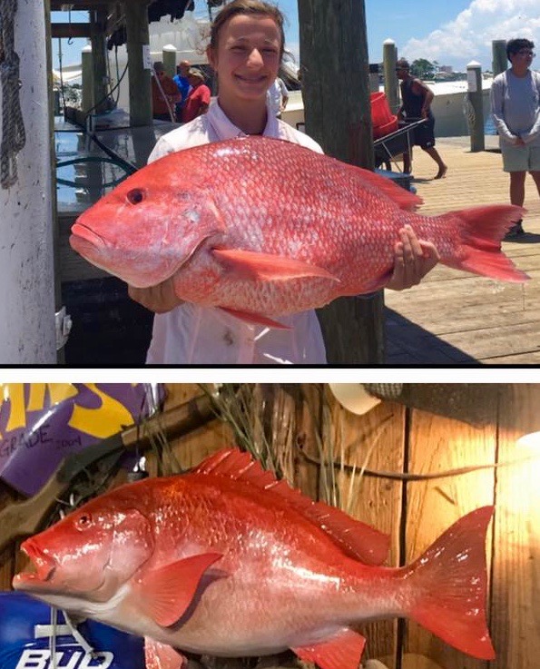 Where to Catch Red Snapper in the Gulf