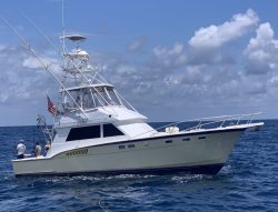 A white sport fishing yacht with several people on board floats on calm blue ocean water under a partly cloudy sky.