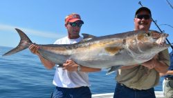 2 men holding an Amberjack