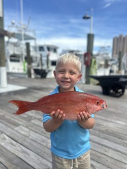 Young boy standing on a dock holding a freshly caught red fish with boats and buildings in the background.