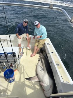 Two men on a boat pose next to a large shark lying on the deck with fishing rods and gear visible.