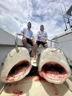 Two men sit on a boat behind two large, open-mouthed sharks with visible teeth and some blood on the deck.