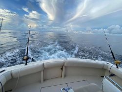POV shot from fishing charter boat on water