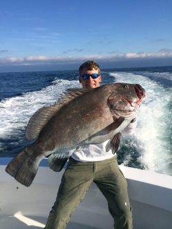 Person on a boat holding a large fish with the ocean and boat wake visible in the background.