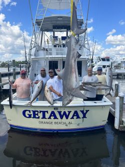 Five people stand on a docked boat named "GETAWAY" holding large fish, including a shark, at a marina.