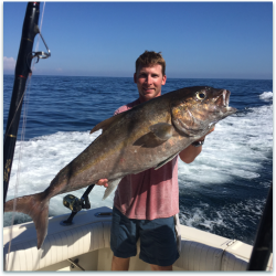 A man on a boat holds a large fish with the ocean and blue sky in the background.